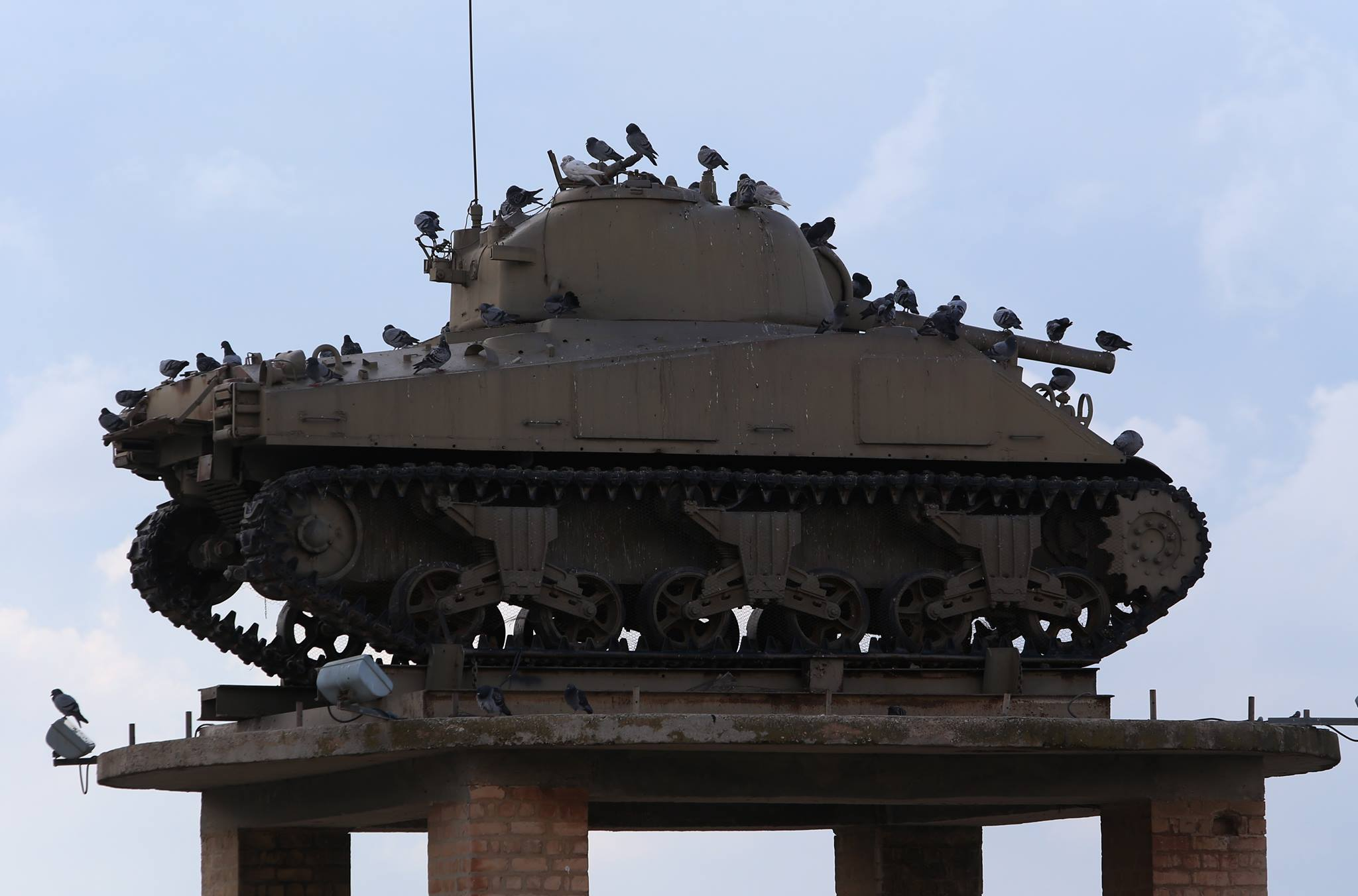 יונים יושבות על טנק שנמצא על עמודים במוזיאון יד לשריון