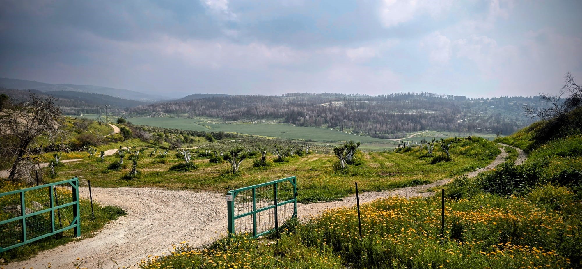 הנוף המרהיב שמקיף את אתר יד לשריון